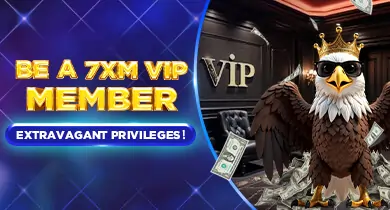 7XM - VIP Program